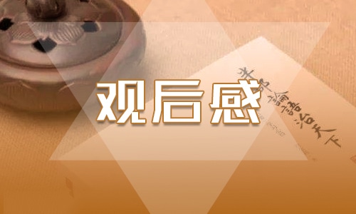 辛亥革命观后感范文600字