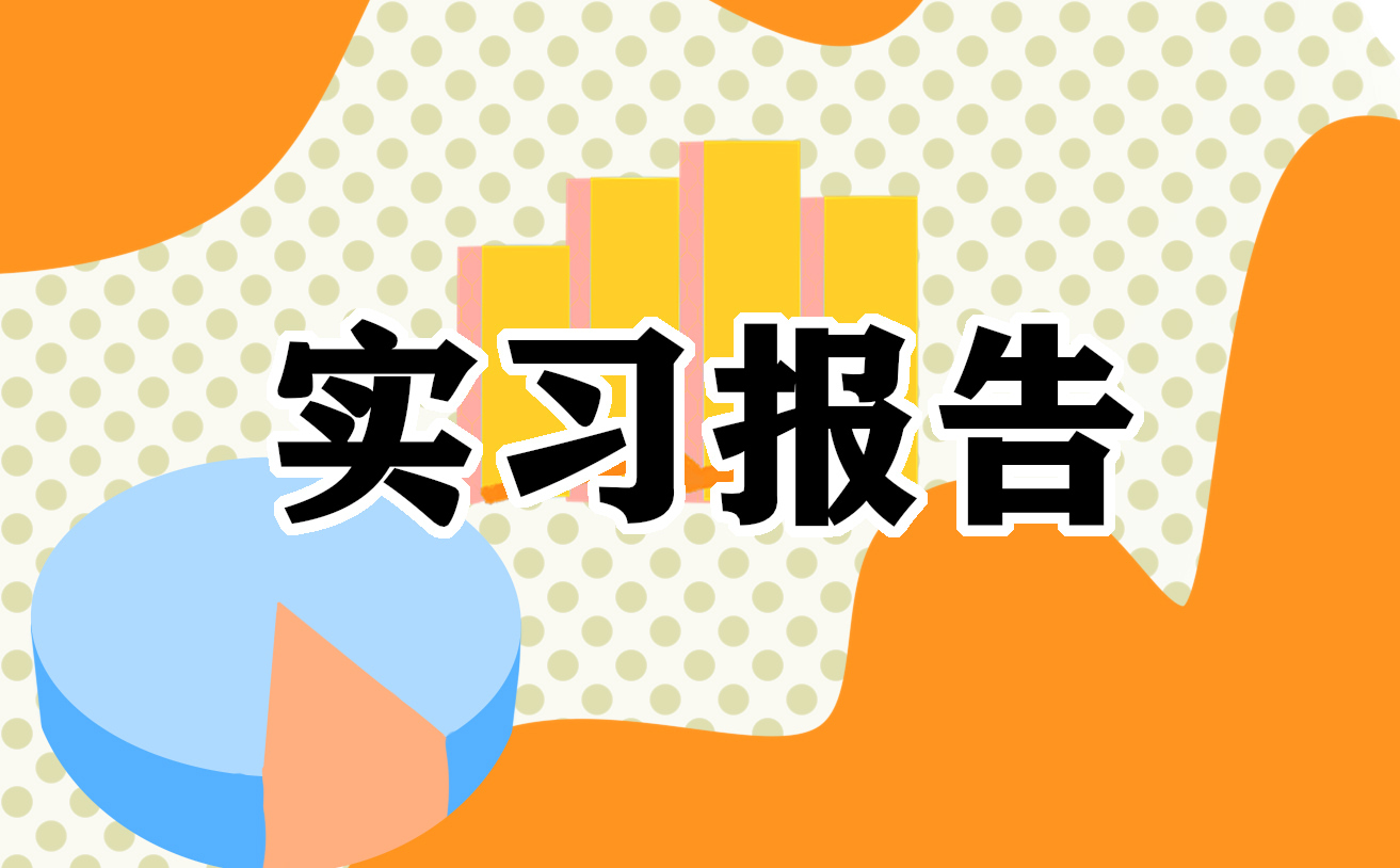 大学生个人社会实践实习总结