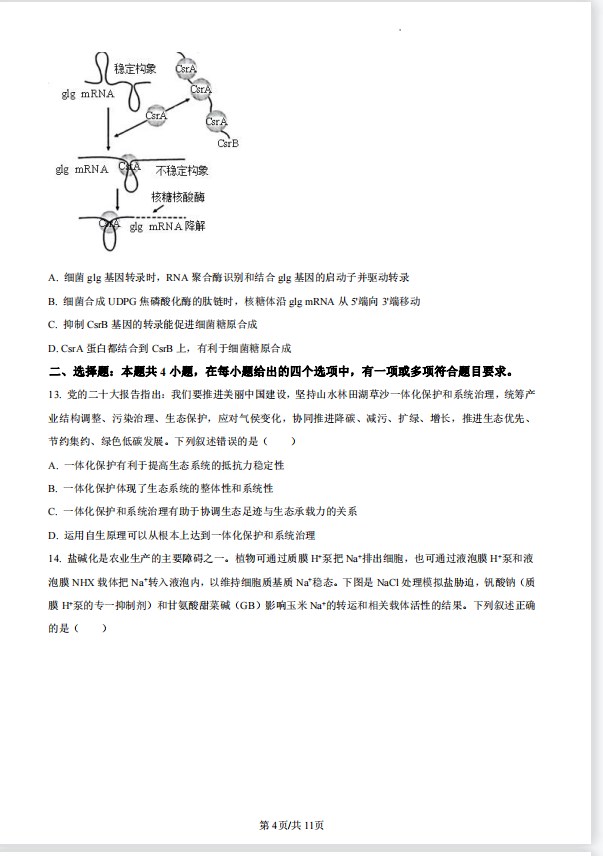 2023年高考1卷生物真题试卷