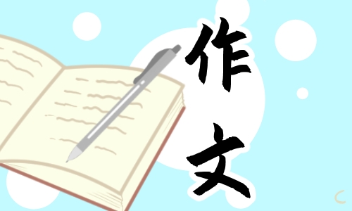 中考优秀作文800字