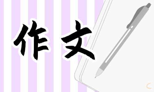 春节放烟花作文400字