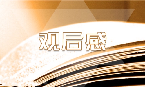 观看勇士的个人观后感800字